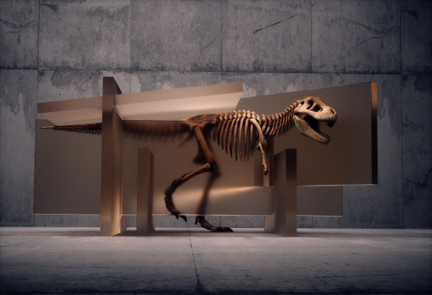 透过玻璃看到的恐龙骨架图片下载