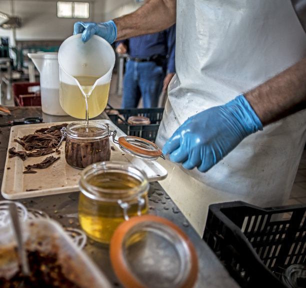 罐头食品和蔬菜厂用油制作沙丁鱼的工作过程。图片下载