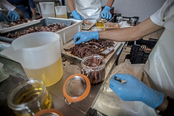 罐头食品和蔬菜厂用油制作沙丁鱼的工作过程。图片下载