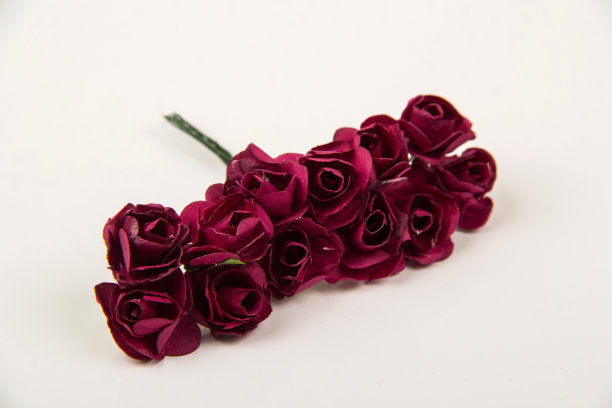 美丽的红色婚礼胸花人造花在白色的背景图片下载