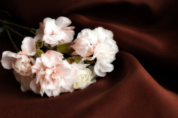 桌上放着一束康乃馨图片下载