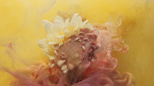 花漆墨水溅黄烟花瓣图片下载