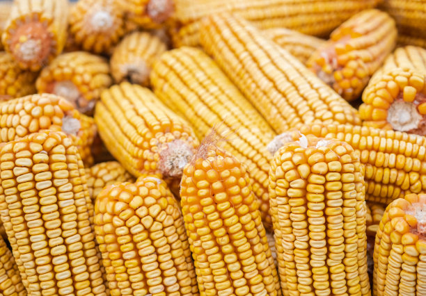 丰收背景图片下载