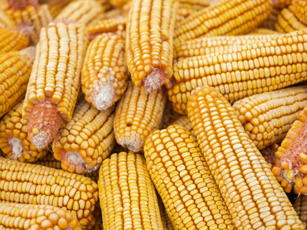 丰收背景图片下载