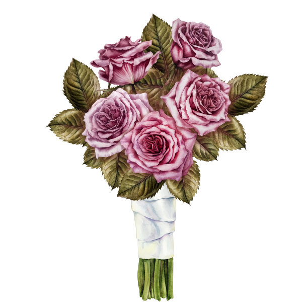 水彩花束粉红色的玫瑰和绿叶在一个包装与丝带。设计情人节，婚礼，妇女节，母亲节，生日，贴纸。元素被隔离在白色背景上图片下载