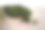 拉<s:1>比约尔沙丘是丹麦斯卡恩和腓特烈港之间的一个迁移的海岸沙丘。它是北欧最大的移动沙丘。图片下载