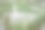 拉<s:1>比约尔沙丘是丹麦斯卡恩和腓特烈港之间的一个迁移的海岸沙丘。它是北欧最大的移动沙丘。图片下载