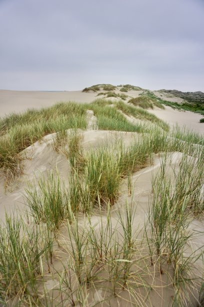 拉<s:1>比约尔沙丘是丹麦斯卡恩和腓特烈港之间的一个迁移的海岸沙丘。它是北欧最大的移动沙丘。图片下载