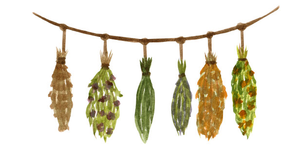 水彩插图，巫婆花环与草药，孤立的白色背景。图片下载