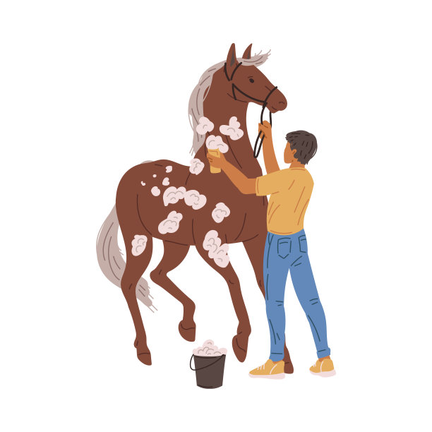 男子洗涤和梳理一匹马，平面矢量插图孤立的白色。图片下载