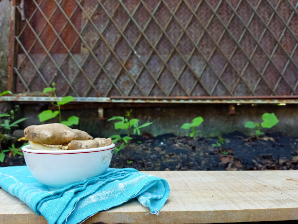 花园里养床的照片图片下载