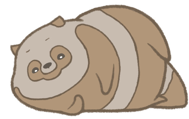 一只浣熊狗怀疑地看着我图片下载