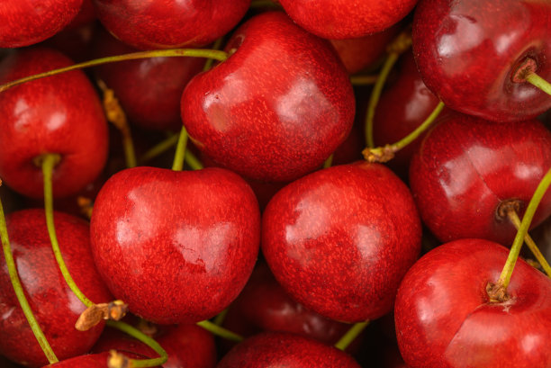 孤立的樱桃，框架填充，红色背景图片下载