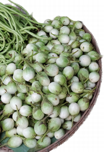 一篮子四季豆和其他蔬菜的照片，篮子里有许多四季豆和其他蔬菜。图片下载