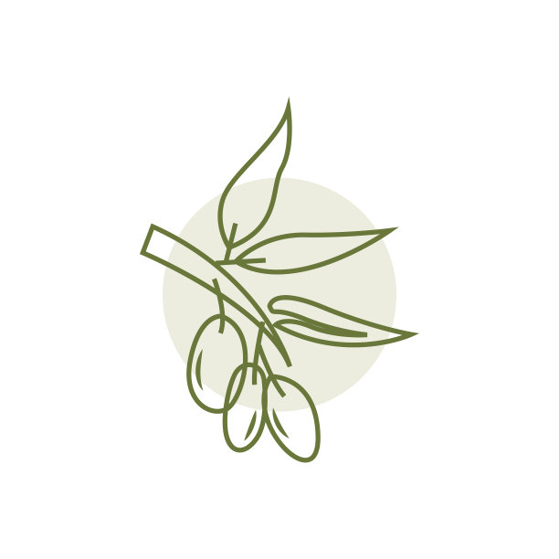 橄榄标志设计，橄榄油树矢量，简单的插图模板图片下载