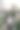 这个人正在用胶卷相机拍照图片下载