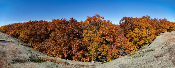 大象岩石SP -树木和花岗岩全景图片下载