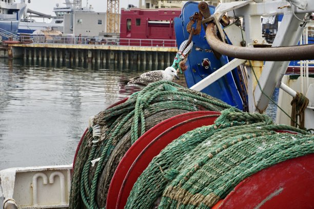 渔网。绿色的渔网缠绕在卷轴上。带有彩色浮标的渔网。渔具和钓具。工业捕鱼。渔网在港口的地板上。图片下载