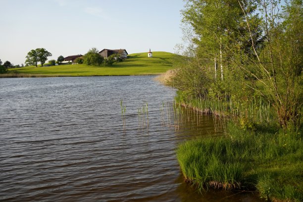 德国的hergratsrieder湖田园诗般的海岸，靠近f<s:2> ssen市。图片下载