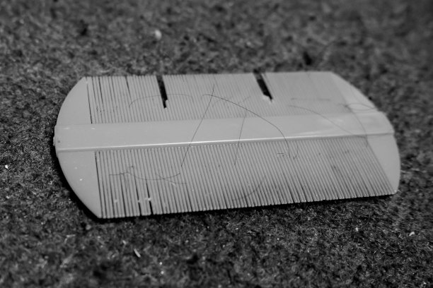 一种锯齿状梳子或全密度梳子，用来捡起或铲起头虱。图片下载