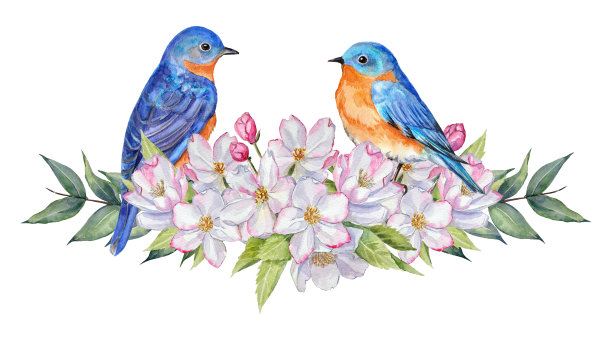 水彩预先组成的蓝鸟在一棵苹果树花束。图片下载