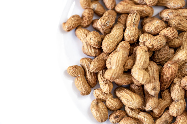 特写澳大利亚花生壳，白色背景与复制空间图片下载