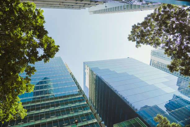 布里斯班CBD绿树成荫的现代办公大楼图片下载