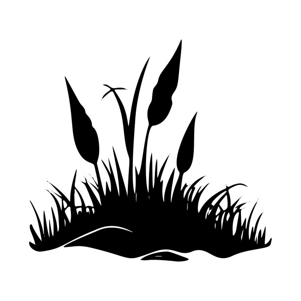 草的自然轮廓-植物学图片下载