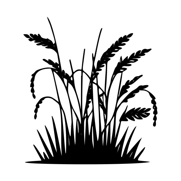 草的自然轮廓-植物学图片下载