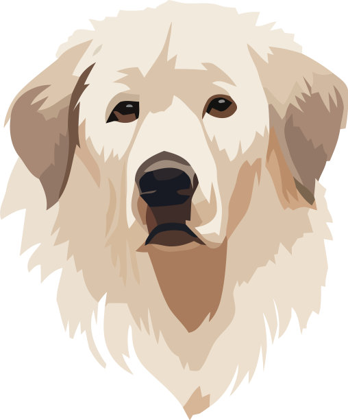 可爱的纯种猎犬图片下载