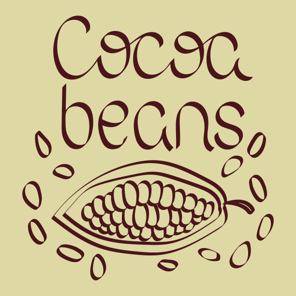 可可豆矢量插图。书法刻字。可可荚水果和谷物图片下载