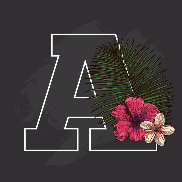 黑板热带植物花滴帽图片下载