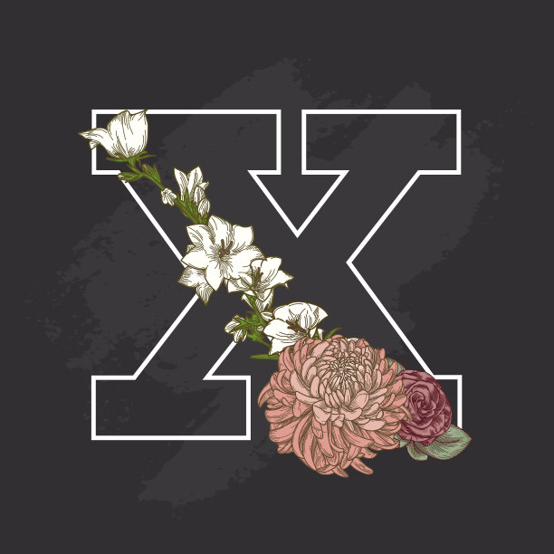 复古花粉笔艺术风格滴头字母X图片下载