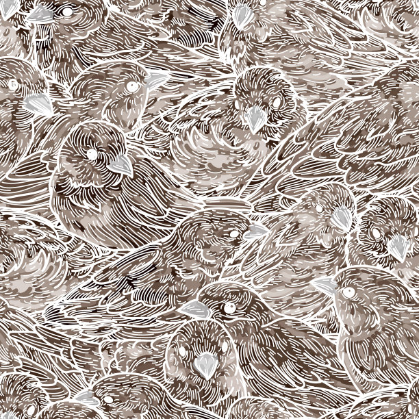 无缝密集的麻雀鸟图案图片下载