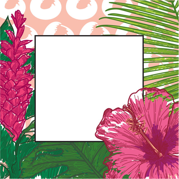 带有拷贝空间的热带框架图片下载
