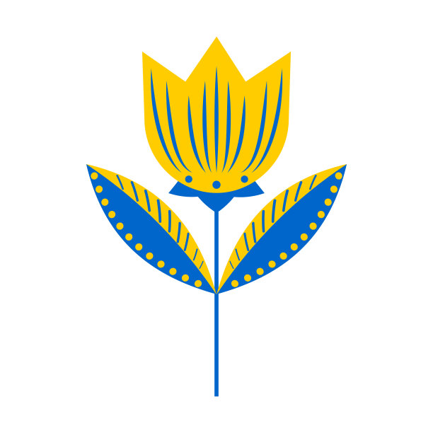 郁金香。蓝色和黄色花孤立在白色背景。图片下载