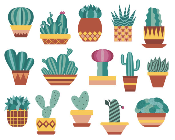 室内仙人掌和多汁植物设置在平面设计图片下载