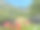 夏天的法国Savoie Maurienne La Tour-en-Maurienne图片下载