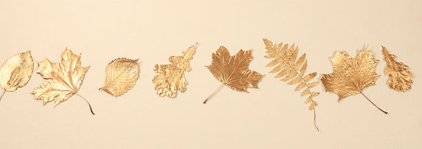 创意秋天的构图在季节的背景与金色的枫叶，最小的秋天的概念，屏幕横幅和模板的设计。图片下载