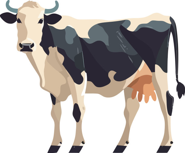 可爱的农场奶牛图片下载