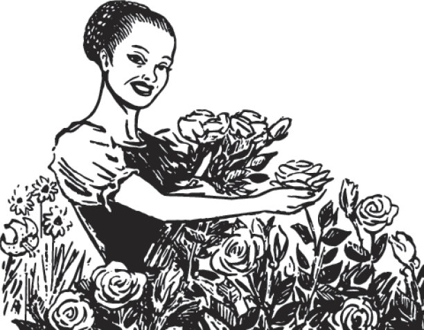 玫瑰花园里的女人图片下载