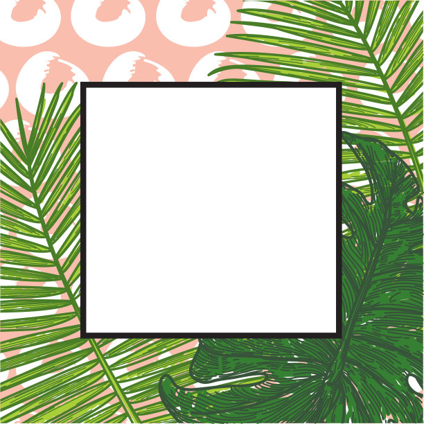 带有拷贝空间的热带框架图片下载