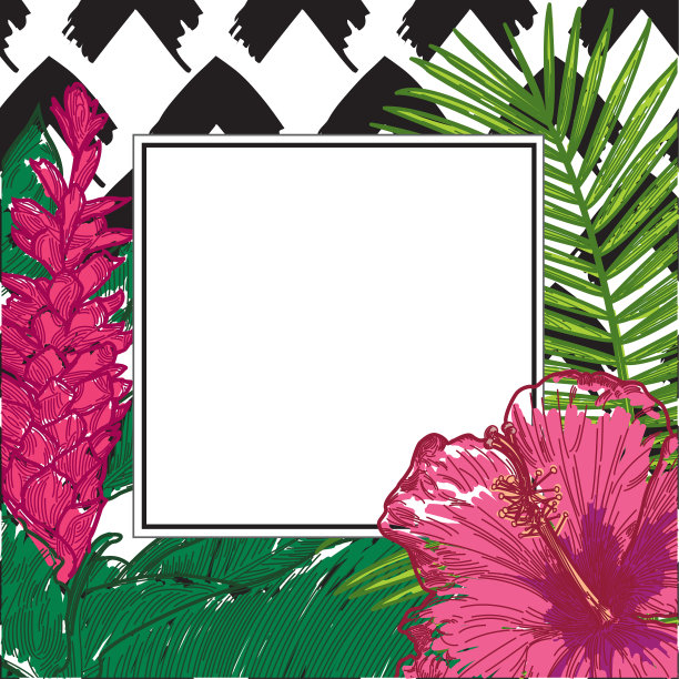 热带框架与夏威夷姜植物，木槿，和棕榈叶图片下载