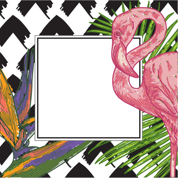 热带框架天堂鸟，棕榈叶和火烈鸟图片下载