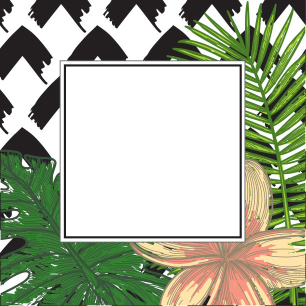 热带框架与怪物，鸡蛋花，和棕榈图片下载