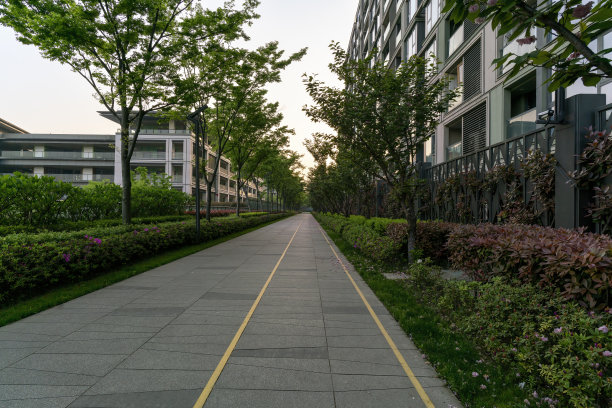 住宅区林荫大道图片下载