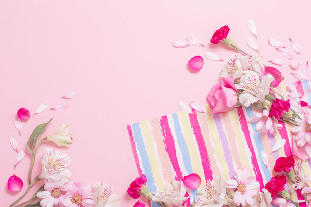 美丽的粉红色和白色花朵在粉红色的背景图片下载