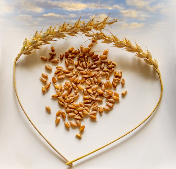 心形与麦穗或黑麦的特写图片下载