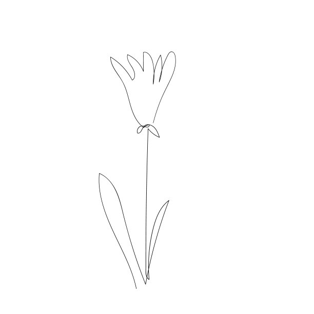 花连续一行图标。孤立的单花剪影。现代最小风格线性标志。花卉元素，象征海报，社交媒体故事，卡片，封面。向量潦草图片下载