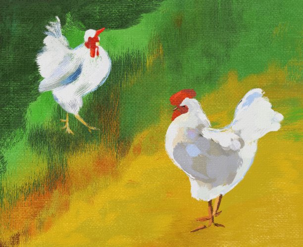 在明亮的背景上画了两只白色公鸡图片下载